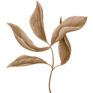 Brown leaf