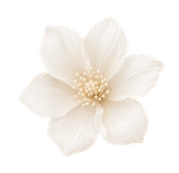 White flower