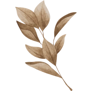Brown leaf